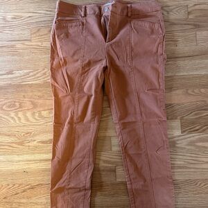 LOFT Skinny Jeans in Rust